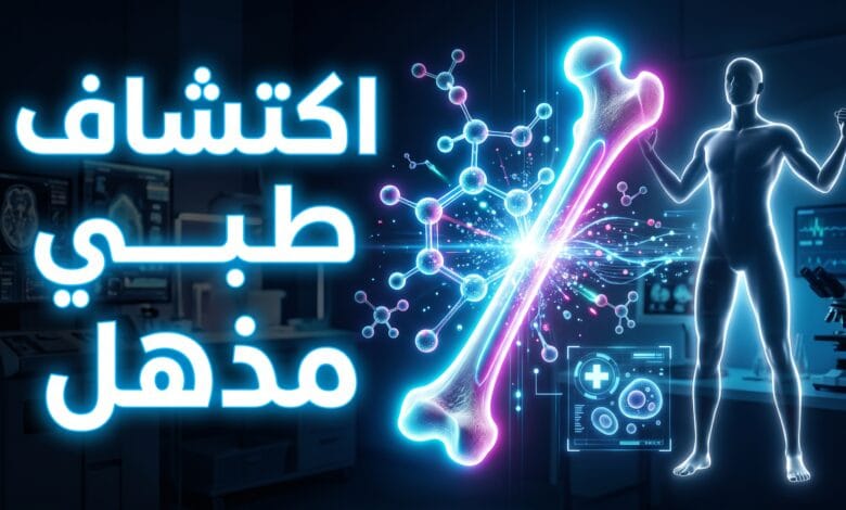 اكتشاف طبي لمركب CADD522 كدواء تجريبي يحمي العظام ويقلل الدهون