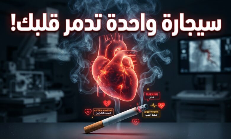 أضرار سيجارة واحدة يوميا على صحة القلب والأوعية الدموية