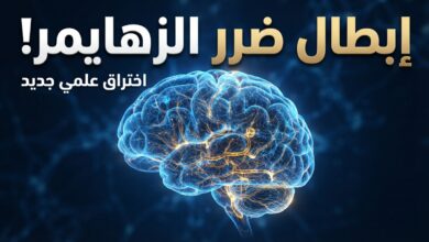 باحثون يؤكدون أن إبطال ضرر الزهايمر على الدماغ ربما يكون ممكنا