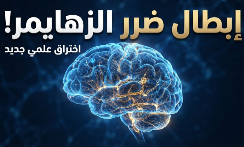 باحثون يؤكدون أن إبطال ضرر الزهايمر على الدماغ ربما يكون ممكنا