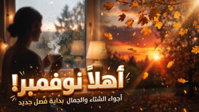 أجمل عبارات عن شهر نوفمبر 2026 وخواطر الخريف